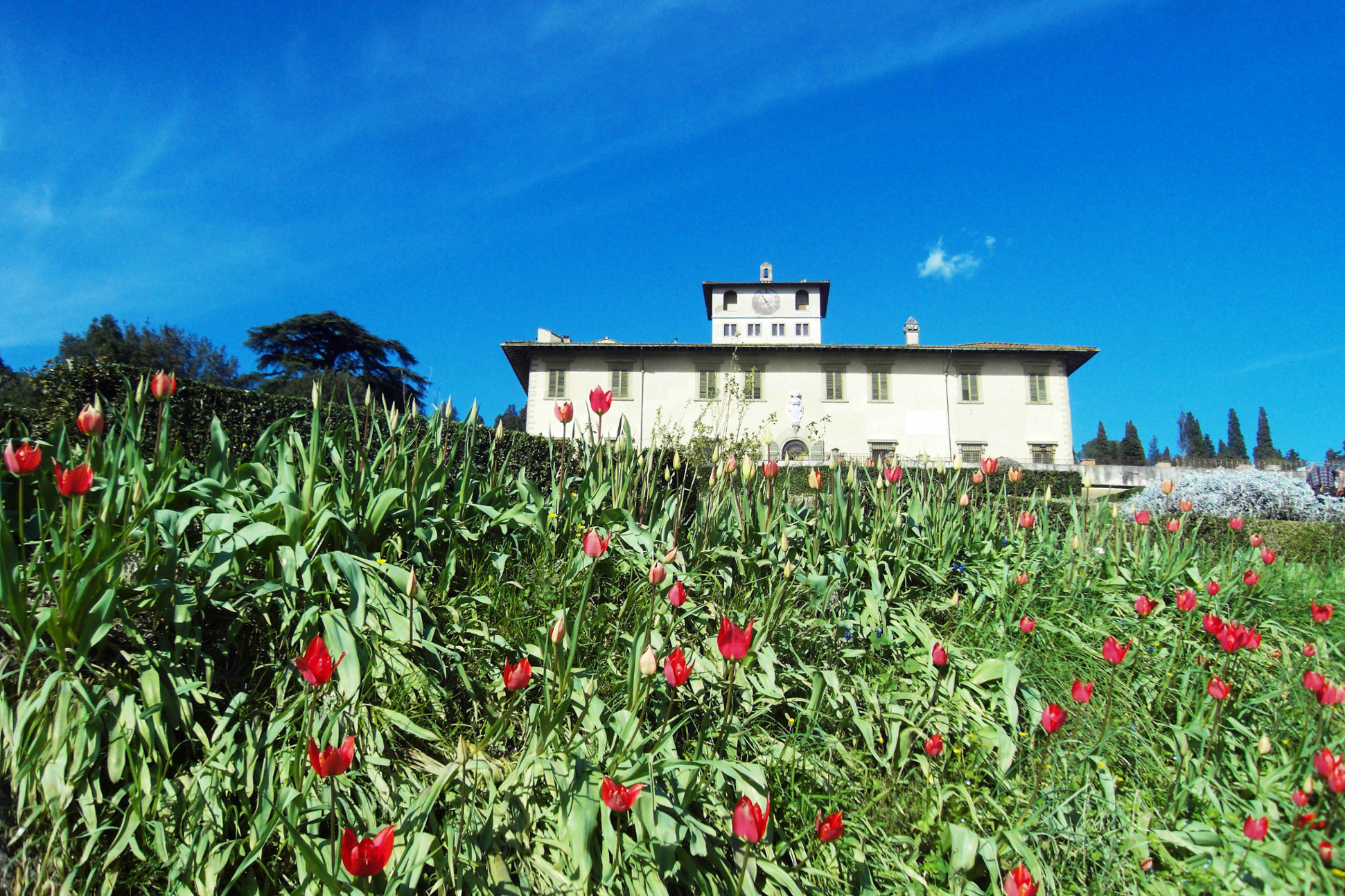 Firenze – Villa medicea della Petraia. Apertura posticipata il 24 e il 27 maggio 2016.